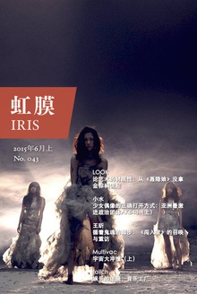 虹膜·2015年6月上(No.043)