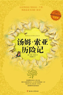 汤姆·索亚历险记