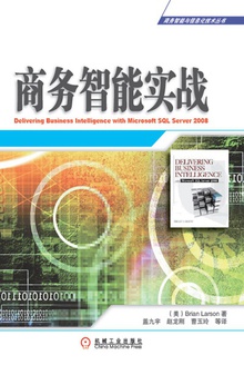 商务智能实战