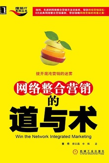 网络整合营销的道与术