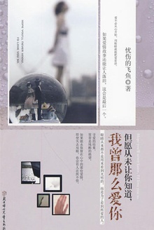 但愿从未让你知道,我曾那么爱你