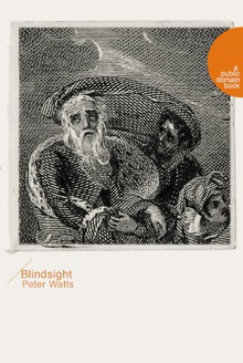 Blindsight(盲视)