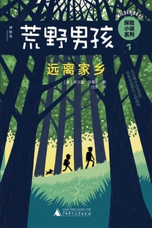 荒野男孩探险小说系列1:远离家乡