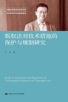 版权法对技术措施的保护与规制研究
