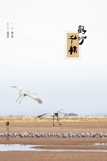 鹤沙千秋