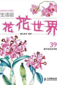 甜蜜生活绘:花花世界
