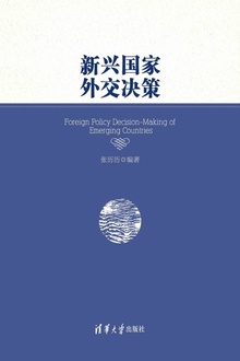 新兴国家外交决策