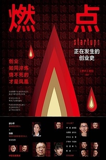 燃点:正在发生的创业史