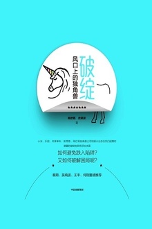 破绽:风口上的独角兽