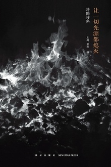 让一切光源都熄灭:沙鸥诗集