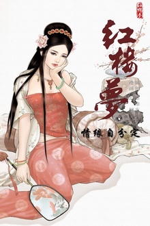 红楼梦11-情缘自分定