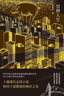 冒牌人生
