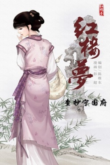 红楼梦20-查抄宁国府
