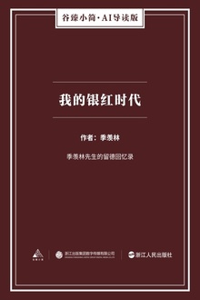 我的银红时代