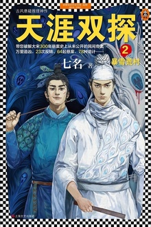 天涯双探2:暴雪荒村