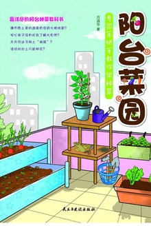 阳台菜园:专家手把手教你学种菜