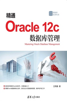 精通Oracle 12c数据库管理