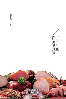 回望:二十年的阳光和风雨