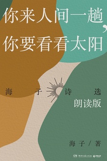 你来人间一趟,你要看看太阳