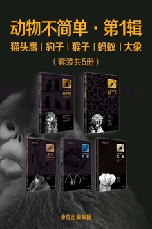 动物不简单·第1辑:猫头鹰、豹子、猴子、蚂蚁、大象(套装共5册)