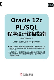 Oracle 12c PL/SQL程序设计终极指南