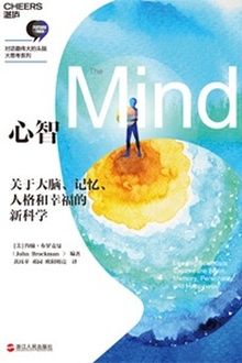心智