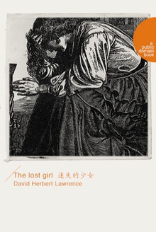 The lost girl(迷失的少女)