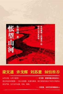 怅望山河