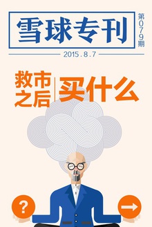 雪球专刊079期——救市之后买什么
