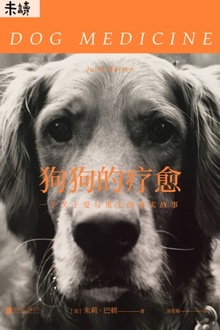 狗狗的疗愈