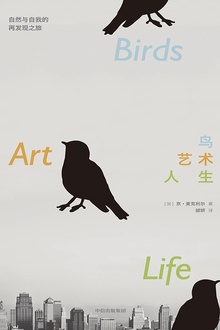 鸟,艺术,人生