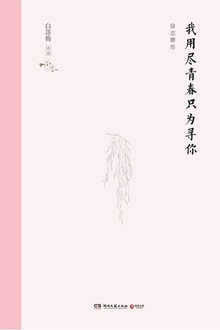 我用尽青春只为寻你(精装版)
