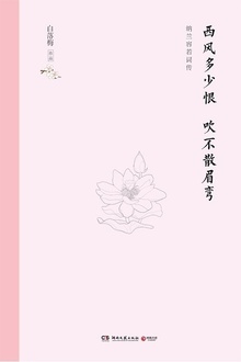 西风多少恨,吹不散眉弯(精装版)