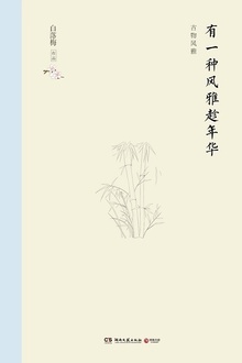 有一种风雅趁年华(精装版)