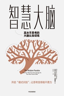 智慧大脑:高水平思考的大脑认知训练