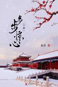 步步惊心(下册)