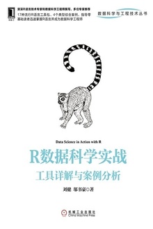 R数据科学实战