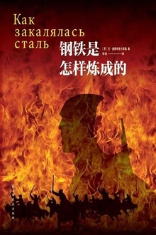 钢铁是怎样炼成的