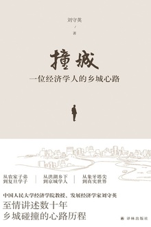 撞城:一位经济学人的乡城心路