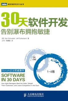 30天软件开发