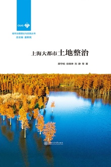 上海大都市土地整治