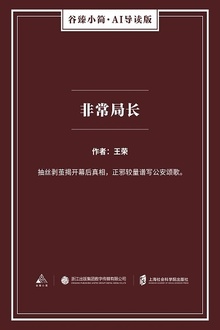 非常局长