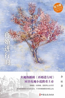 再婚进行时