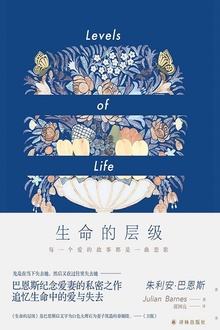 生命的层级(巴恩斯作品)