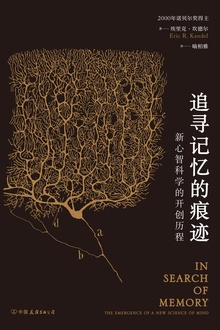 追寻记忆的痕迹