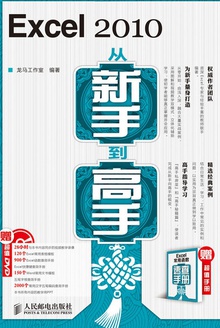 Excel 2010从新手到高手