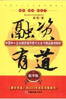 融资有道:中国中小企业融资操作技巧大全与精品案例解析