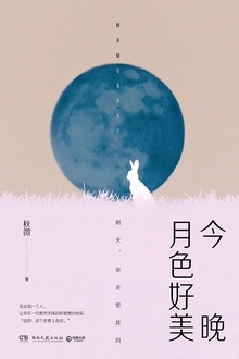 今晚月色好美