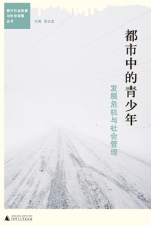 都市中的青少年:发展危机与社会管理