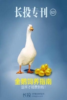 金鹅饲养指南